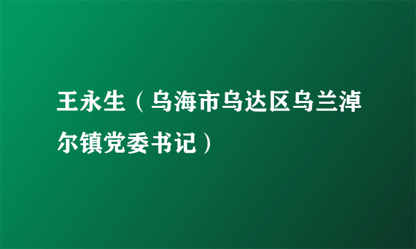 王永生（乌海市乌达区乌兰淖尔镇党委书记）