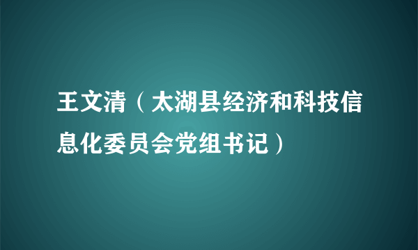 王文清（太湖县经济和科技信息化委员会党组书记）