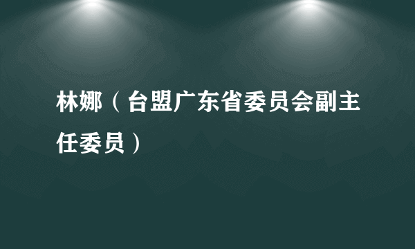 什么是林娜（台盟广东省委员会副主任委员）