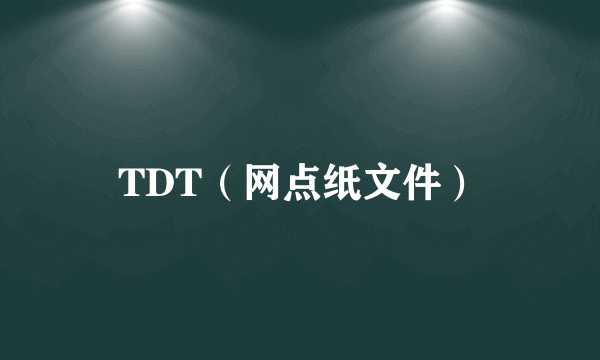 TDT（网点纸文件）