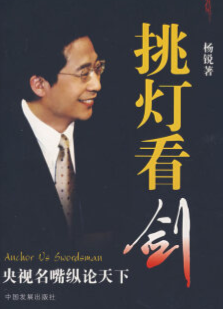 挑灯看剑（2008年中国发展出版社出版的图书）