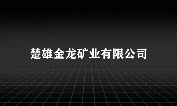 什么是楚雄金龙矿业有限公司