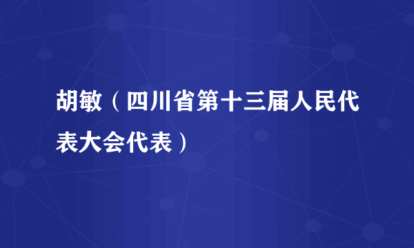 胡敏（四川省第十三届人民代表大会代表）