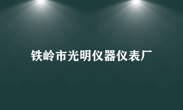 铁岭市光明仪器仪表厂