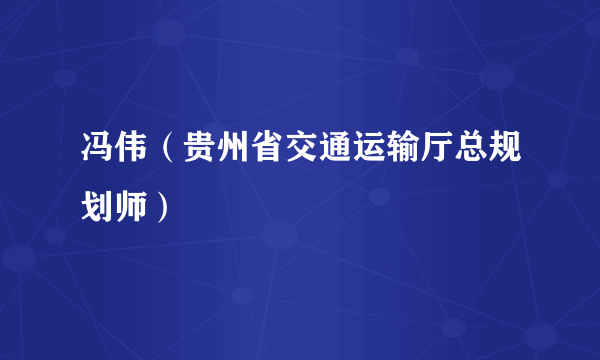 什么是冯伟（贵州省交通运输厅总规划师）