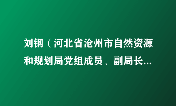 刘钢（河北省沧州市自然资源和规划局党组成员、副局长、三级调研员）