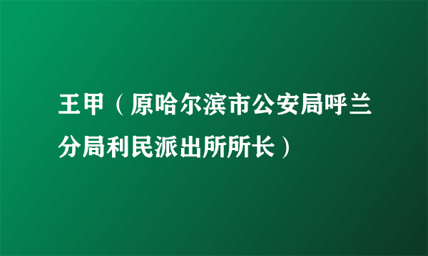 王甲（原哈尔滨市公安局呼兰分局利民派出所所长）