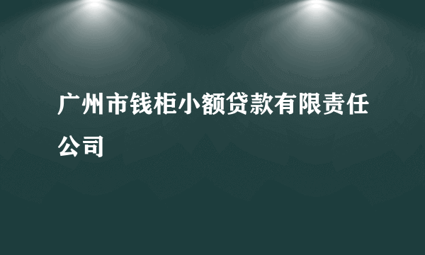 广州市钱柜小额贷款有限责任公司