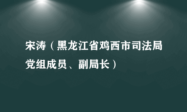 宋涛（黑龙江省鸡西市司法局党组成员、副局长）