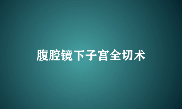 腹腔镜下子宫全切术