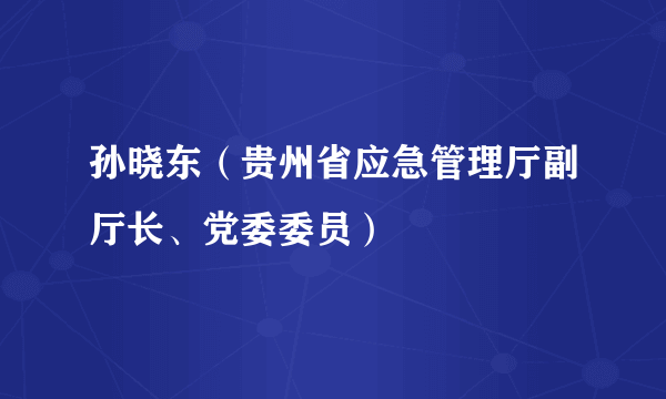 孙晓东（贵州省应急管理厅副厅长、党委委员）