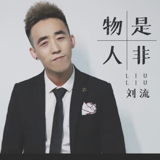 物是人非（刘流演唱歌曲）