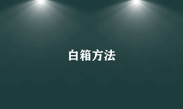 白箱方法