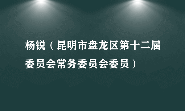 杨锐（昆明市盘龙区第十二届委员会常务委员会委员）