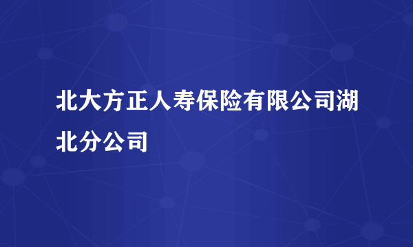 北大方正人寿保险有限公司湖北分公司