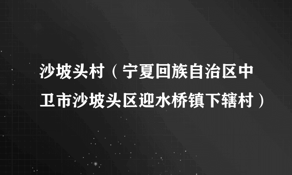 沙坡头村（宁夏回族自治区中卫市沙坡头区迎水桥镇下辖村）