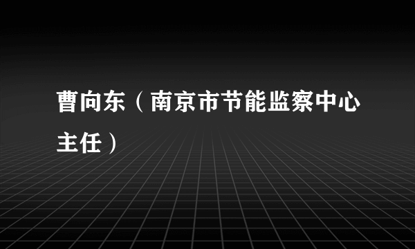 曹向东（南京市节能监察中心主任）