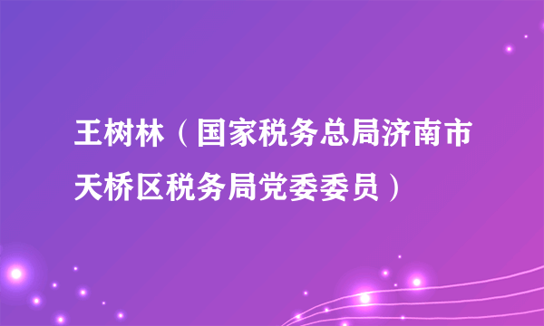 什么是王树林（国家税务总局济南市天桥区税务局党委委员）