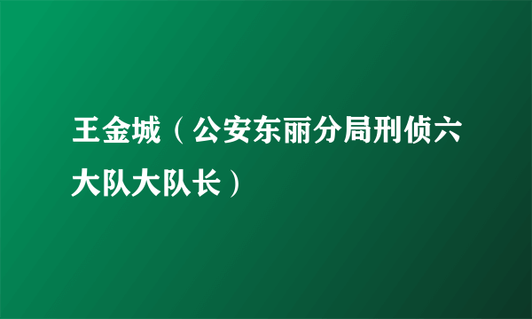 王金城（公安东丽分局刑侦六大队大队长）