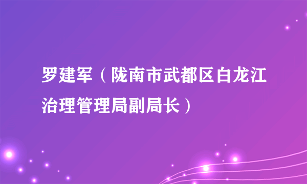 罗建军（陇南市武都区白龙江治理管理局副局长）