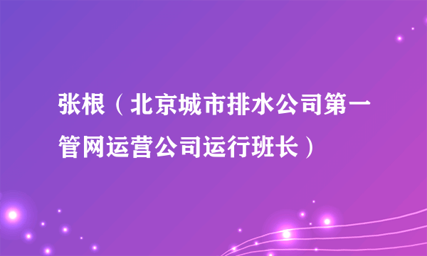 张根（北京城市排水公司第一管网运营公司运行班长）