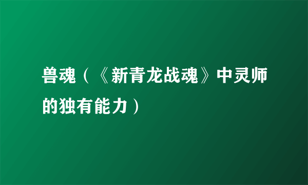 兽魂（《新青龙战魂》中灵师的独有能力）