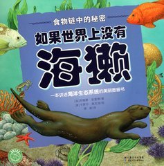 食物链中的海獭