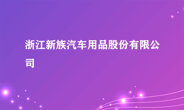 浙江新族汽车用品股份有限公司