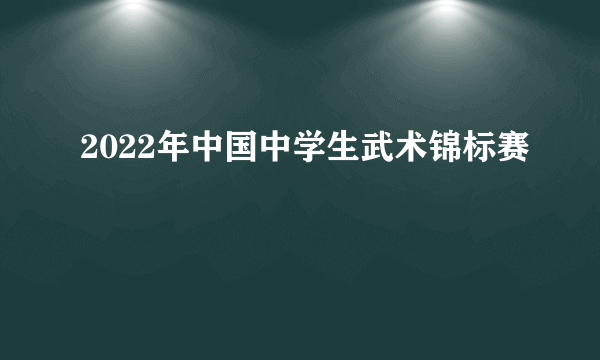 2022年中国中学生武术锦标赛