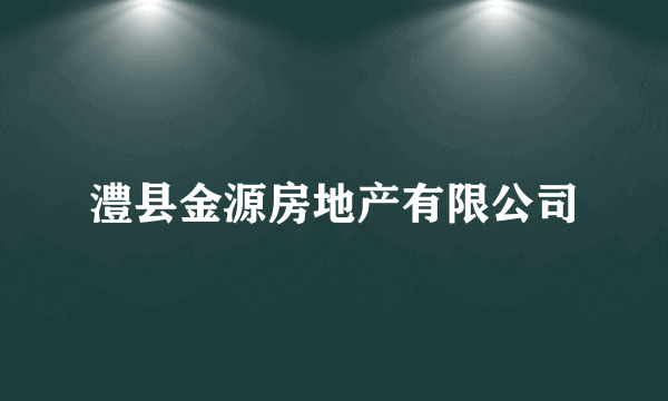 什么是澧县金源房地产有限公司