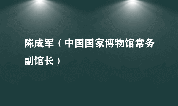 陈成军（中国国家博物馆常务副馆长）