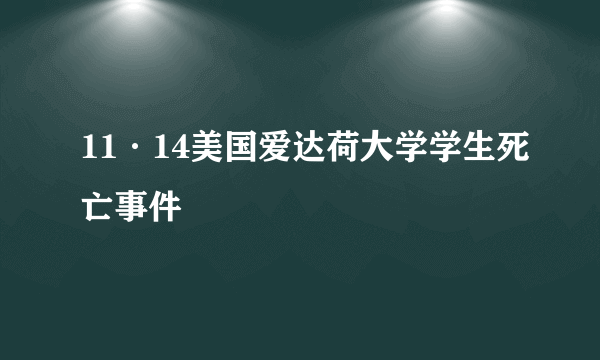 11·14美国爱达荷大学学生死亡事件