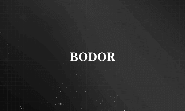 什么是BODOR