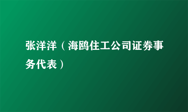 张洋洋（海鸥住工公司证券事务代表）