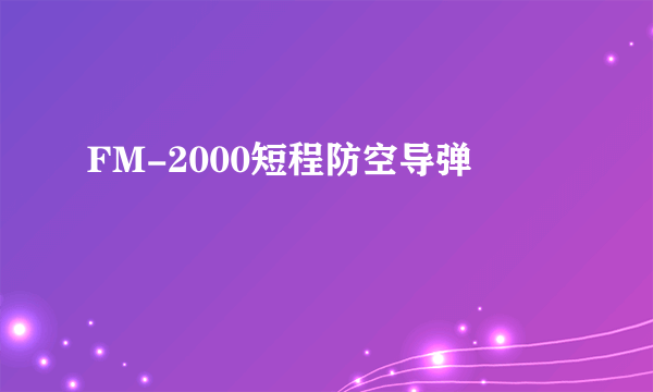 什么是FM-2000短程防空导弹