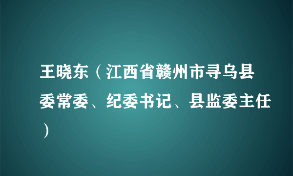 王晓东（江西省赣州市寻乌县委常委、纪委书记、县监委主任）