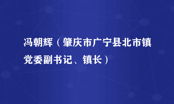 冯朝辉（肇庆市广宁县北市镇党委副书记、镇长）