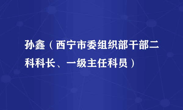 什么是孙鑫（西宁市委组织部干部二科科长、一级主任科员）