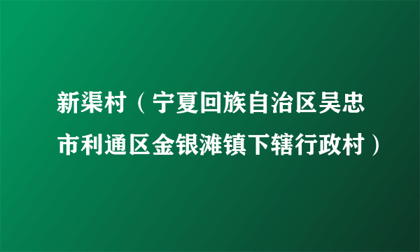 新渠村（宁夏回族自治区吴忠市利通区金银滩镇下辖行政村）