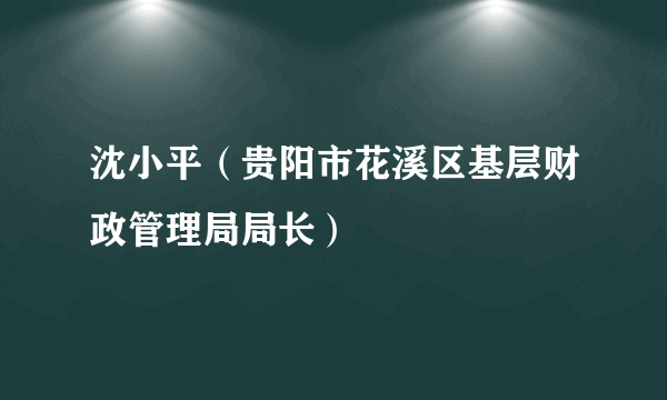 沈小平（贵阳市花溪区基层财政管理局局长）