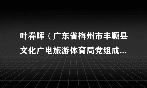 叶春晖（广东省梅州市丰顺县文化广电旅游体育局党组成员、副局长）