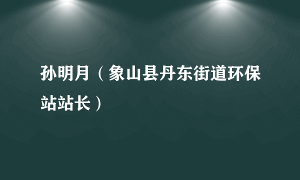 什么是孙明月（象山县丹东街道环保站站长）