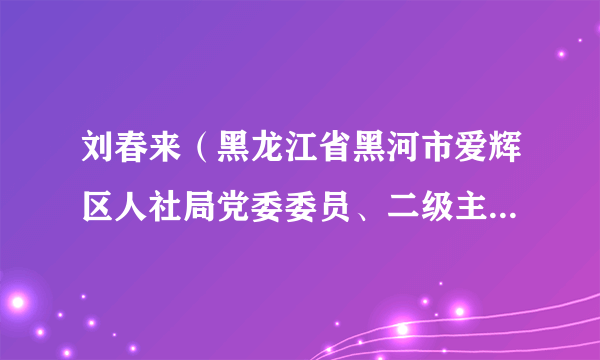 刘春来（黑龙江省黑河市爱辉区人社局党委委员、二级主任科员）