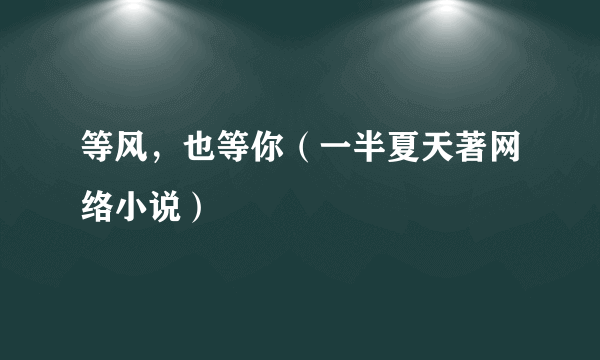 什么是等风，也等你（一半夏天著网络小说）