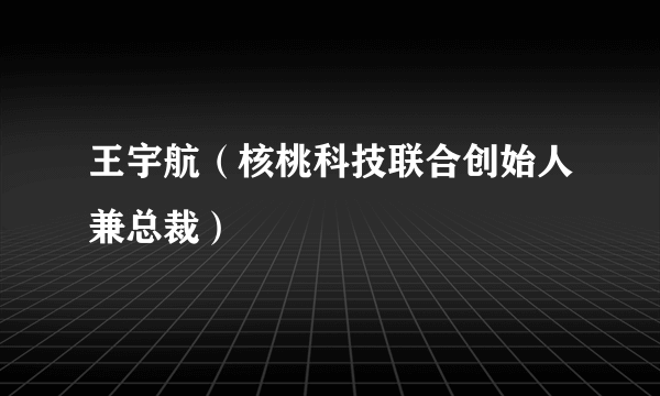 什么是王宇航（核桃科技联合创始人兼总裁）