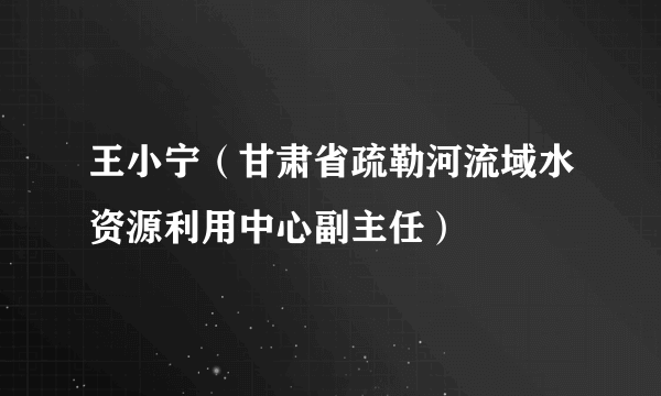 王小宁（甘肃省疏勒河流域水资源利用中心副主任）