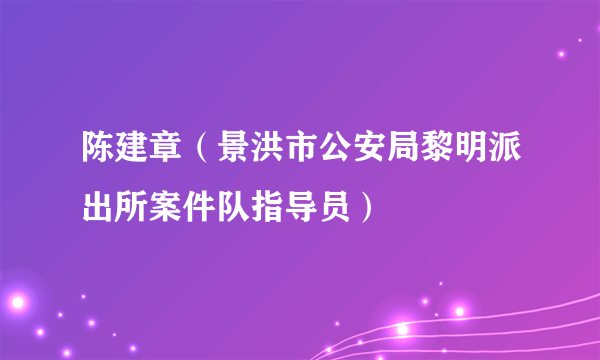 陈建章（景洪市公安局黎明派出所案件队指导员）