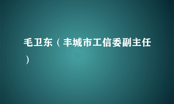 什么是毛卫东（丰城市工信委副主任）