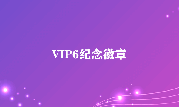 VIP6纪念徽章