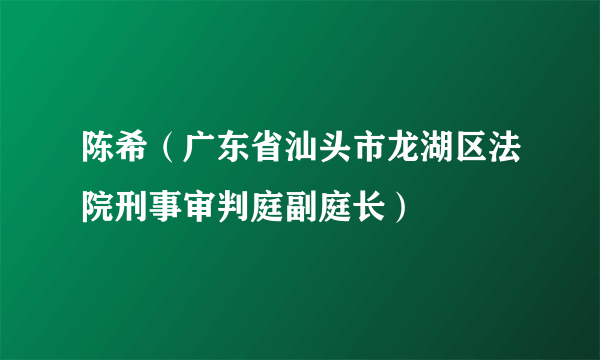 陈希（广东省汕头市龙湖区法院刑事审判庭副庭长）